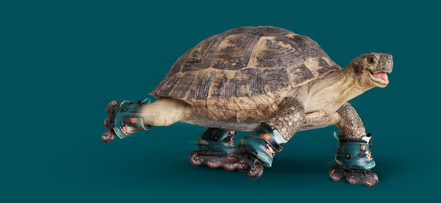 Turbo
